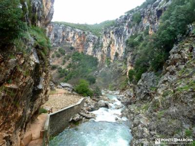 Parque Natural Cazorla-Sistema Prebético; laguna de gallocanta ancares la charca verde hurdes